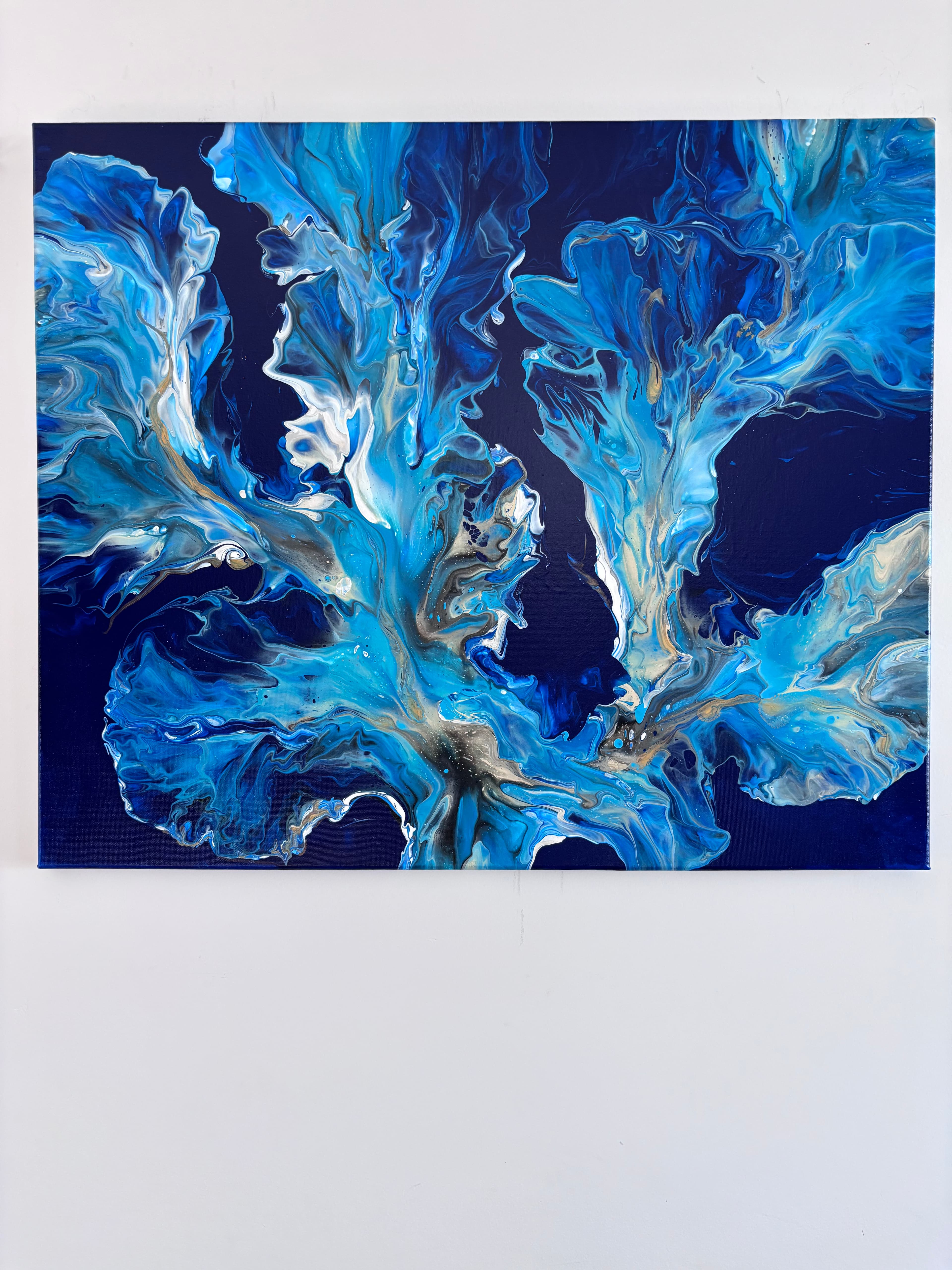 24 in x 20 in